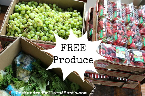 Reclaimed Food Show and Tell – Free Strawberries and Grapes