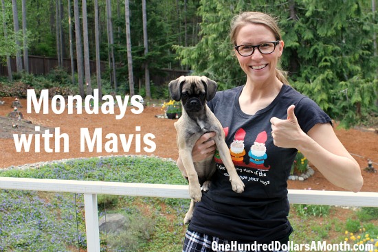 Mondays with Mavis – How to Feed Your Family for $100 a Month