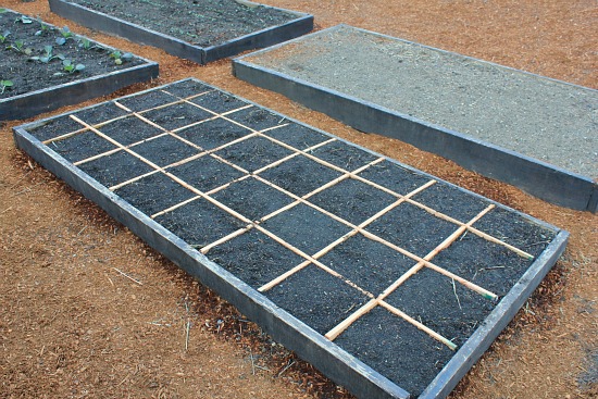 How to Build and Plant a Square Foot Garden