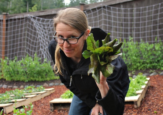 Wood Pallet Gardening – The Big Harvest