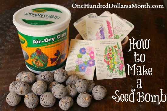 How to Make a Seed Bomb