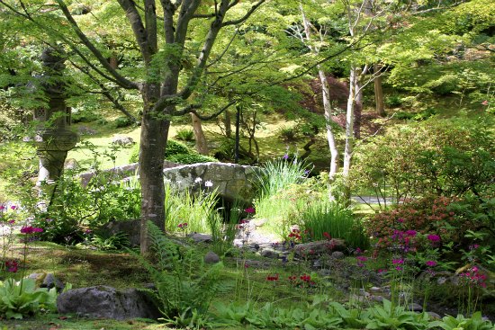 Japanese Tea Garden – Seattle
