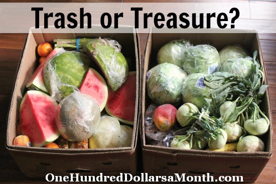Food Waste In America – Is it Trash or Treasure?