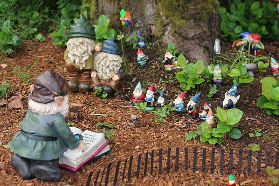 Mary From St. Jude Checks in on the Gnomes {And Takes a Garden Tour!}