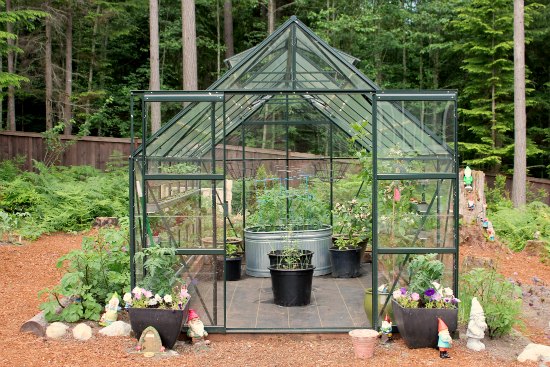 Growing Tomatoes, Basil and Cucumbers in a Greenhouse