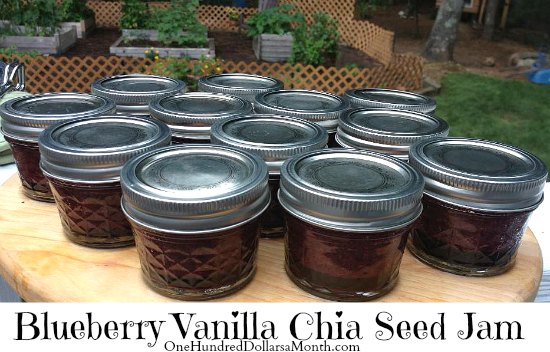 Blueberry Vanilla Chia Seed Jam