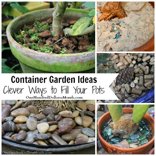 Container Garden Ideas – Clever Ways to Fill Your Pots