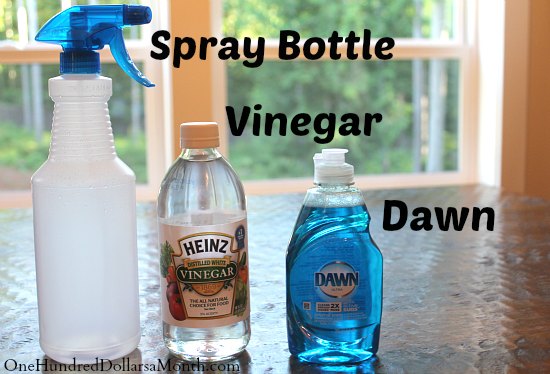 DIY Daily Shower Spray