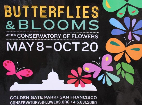 San Francisco Conservatory of Flowers – Butterfly Garden