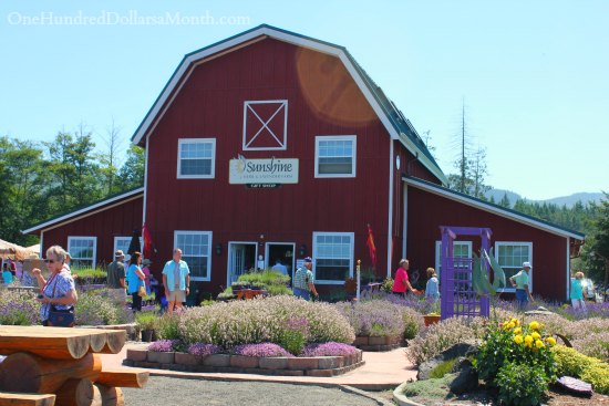 Sequim Lavender Festival and Street Fair