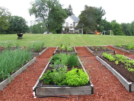 18 Amazing Garden Boxes from New York