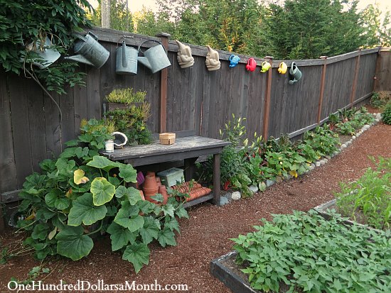 Mavis Butterfield | Backyard Garden Plot Pictures – Week 30 of 52