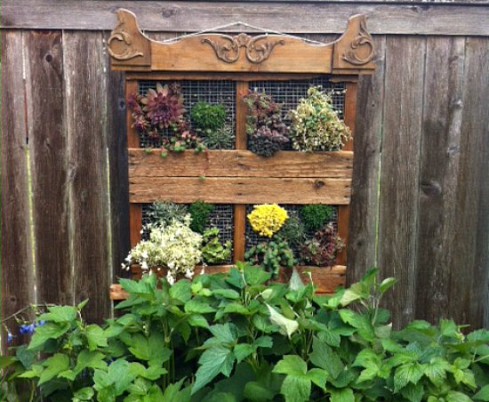 Wood Pallet Garden Ideas with Pictures