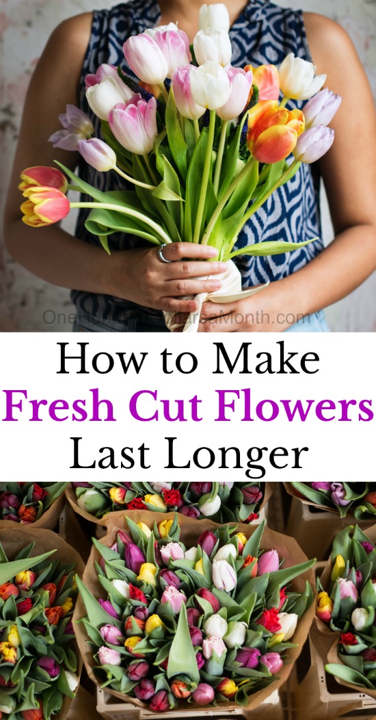 10 Tips to Make Fresh Cut Flowers Last Longer