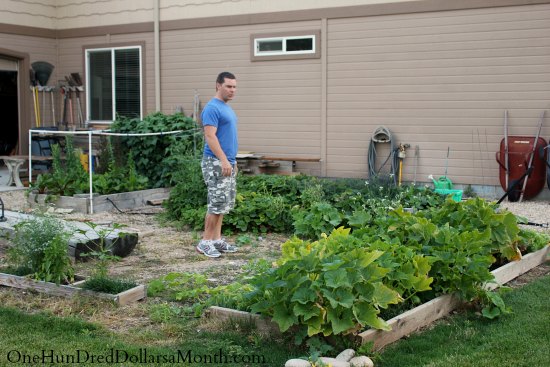 Garden Photos from Mark in Kuna, Idaho