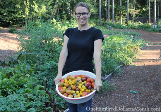 Heirloom Tomatoes and Beets