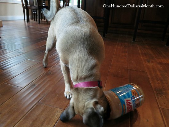 Is Peanut Butter Good for Dogs?