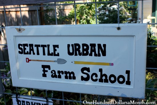 Seattle Urban Farm School Tour