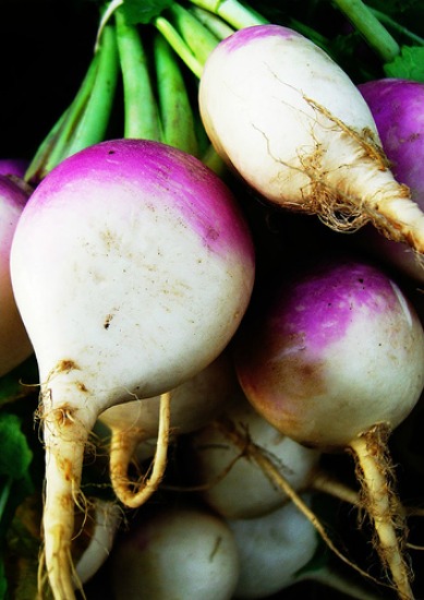 How to Grow Turnips {Start to Finish}