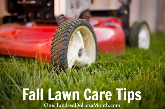 Fall Lawn Care Tips