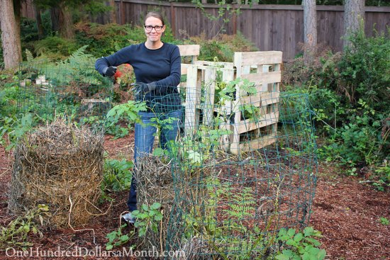 Potato Tower Update and Harvest