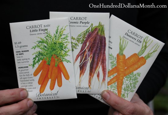 How to Grow Carrots {Start to Finish}