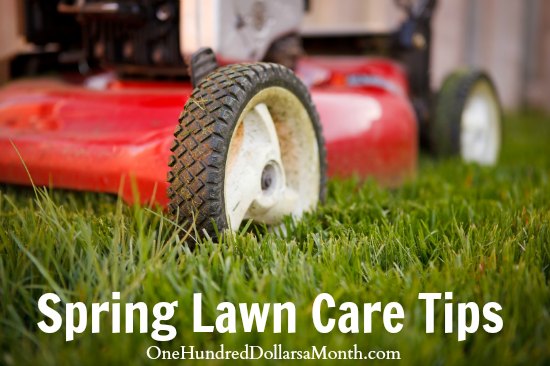 Spring Lawn Care Tips