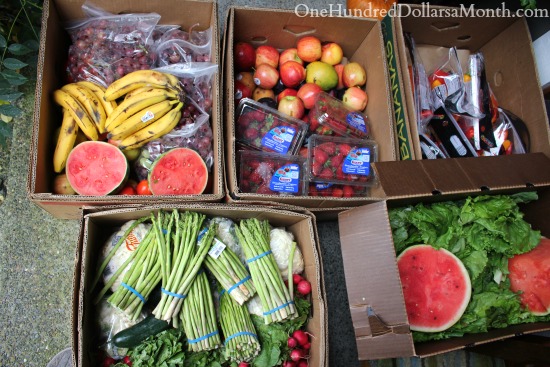 Food Waste In America – Free Fruit? Heck Ya I’ll Take it.