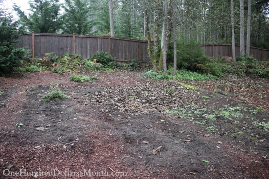 Mavis Butterfield | Backyard Garden Plot Pictures – Week 43 of 52