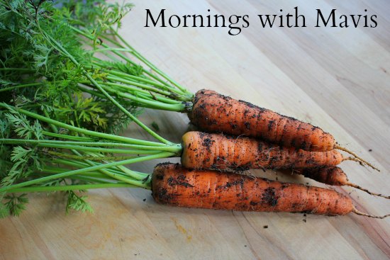 Mornings with Mavis – Amazon Deals, Free Kindle Books, Under Armour Sale, Gymboree, Organic Gardening