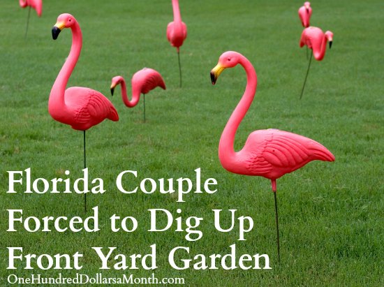 Florida Couple Forced to Dig Up Front Yard Garden or Face Fines