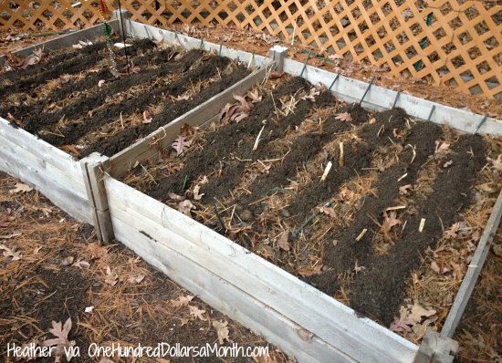 Amending Garden Soil with Horse Manure