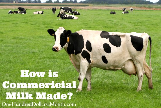 What’s In My Food – How Commercial Milk is Made