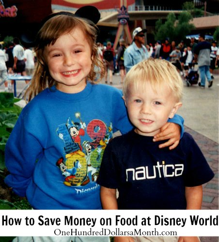 How to Save Money on Food at Disney World + Free Disney Theme Parks DVD