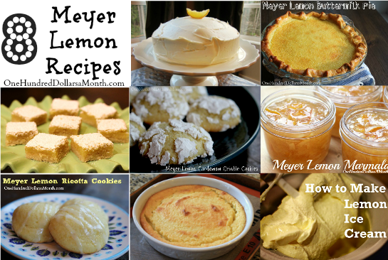 The Best Meyer Lemon Recipes
