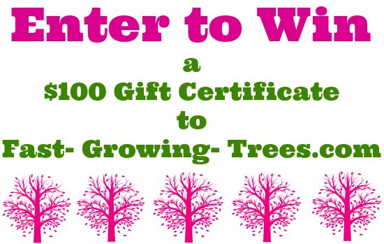 Giveaway: {2} $100 Gift Certificates to Fast Growing Trees
