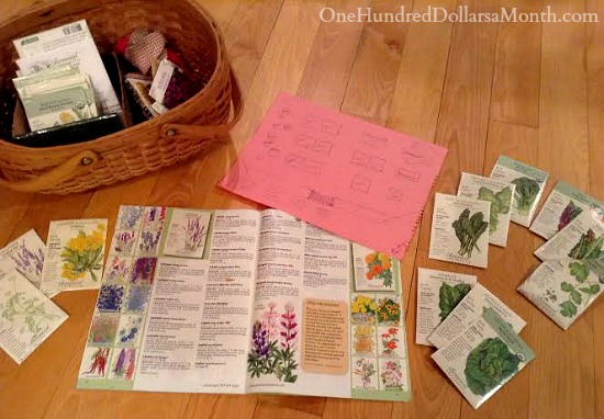 Monthly Garden Chores for January – East Coast Edition