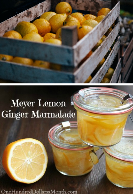 Meyer Lemon-Ginger Marmalade Recipe