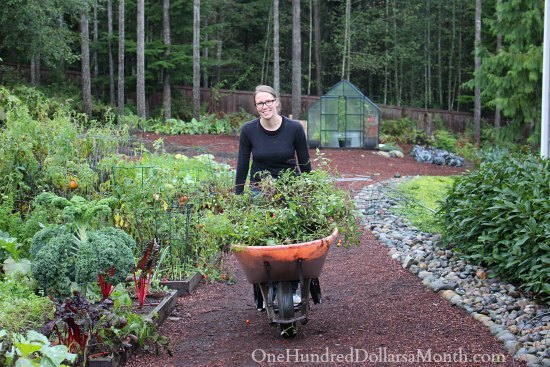 Eat More Plants and Go Easy on the Meat