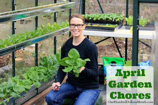 Monthly Garden Chores – April