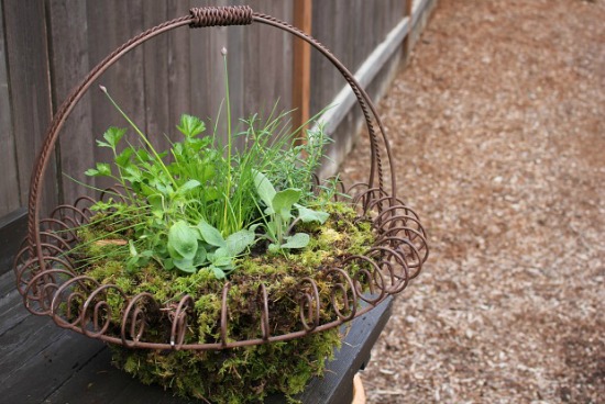 How to Make a Perennial Herb Basket