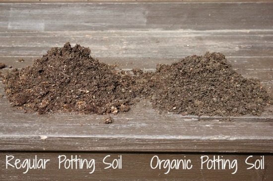 The Planting Experiment: Organic Vs Non-Organic Soil