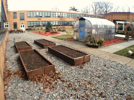 Does Your School Have a Garden?