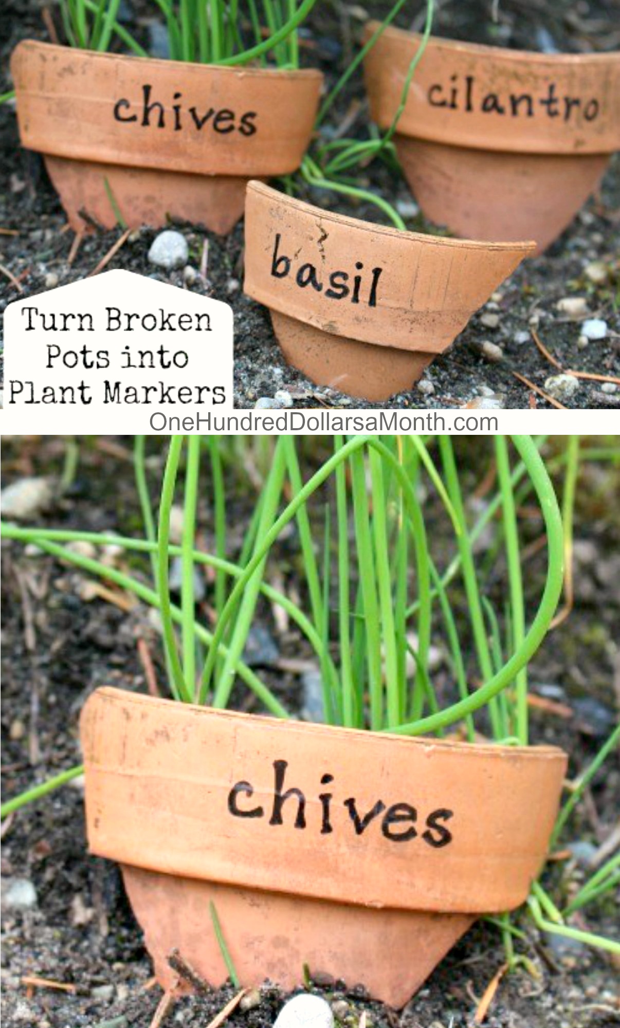 DIY Plant Markers From Broken Pots