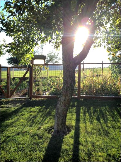 Mavis Mail – Sarah From Prineville, Oregon Sends in Pictures From the Farm