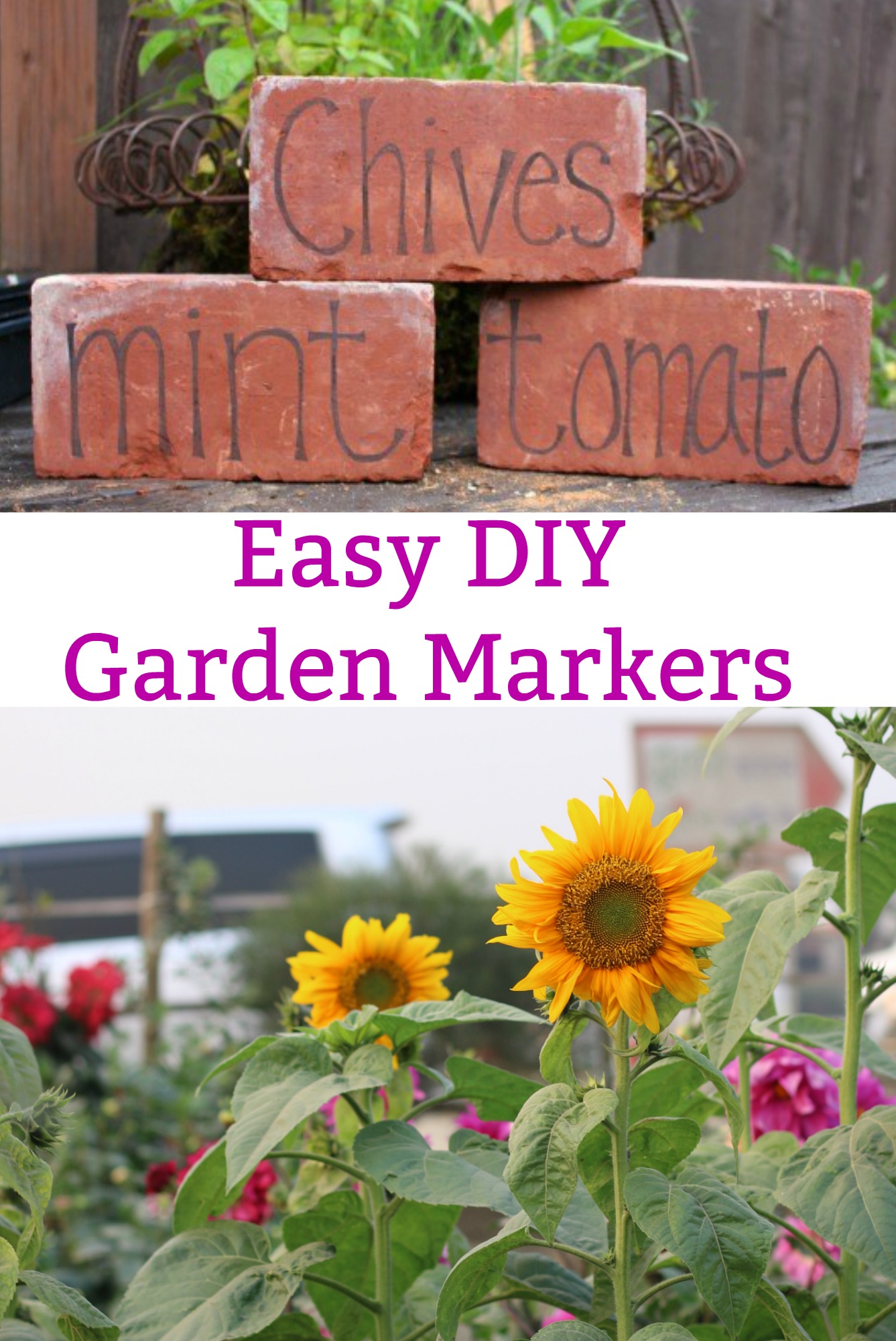 DIY Garden Markers Using Bricks