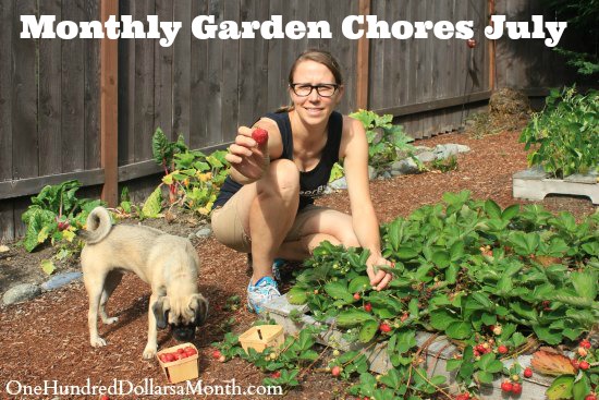 Monthly Garden Chores – July