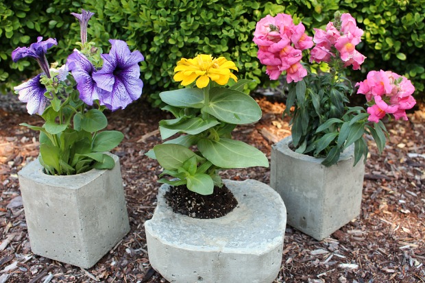 Easy Milk Carton Concrete Planters