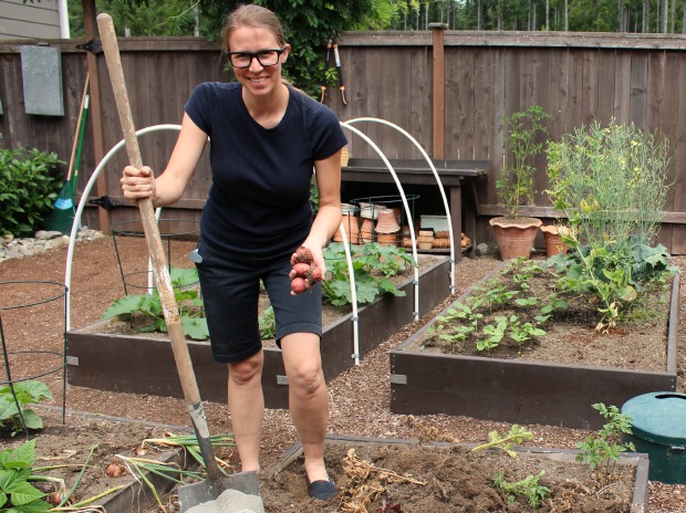 Planting Thanksgiving Plants in July {Yes, I’m Serious!}