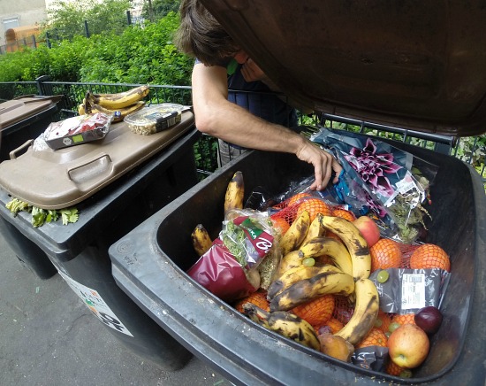 Dumpster Driving Across Europe to Protest Food Waste